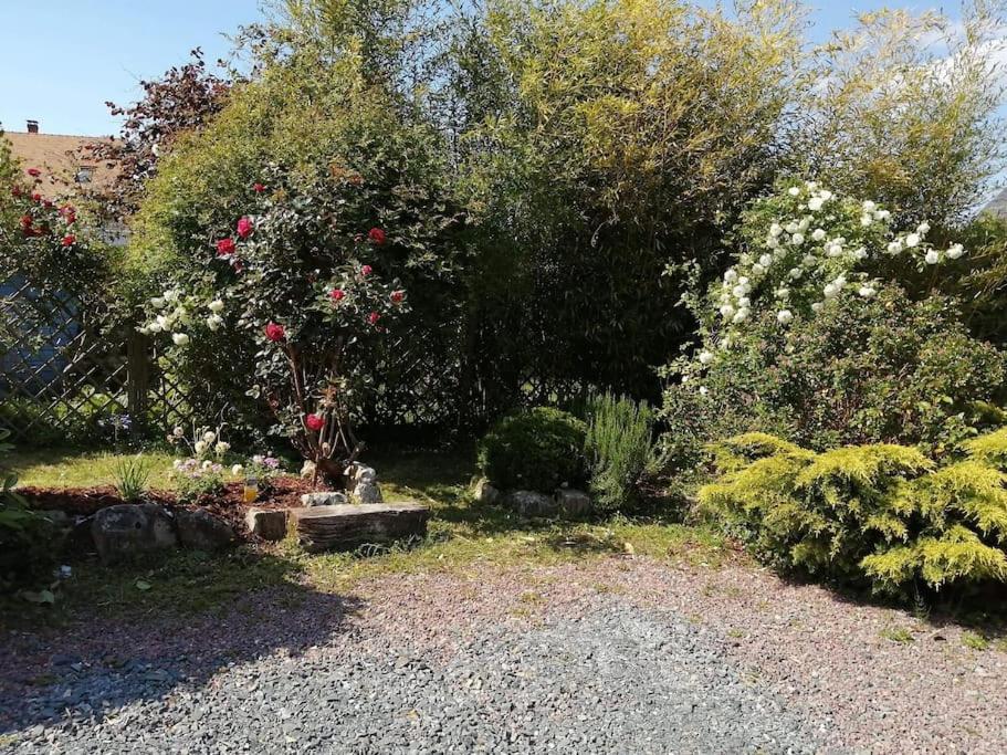 Le Gite D'Eva Honfleur Exterior foto